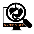 Dr.Tamer Elshafie